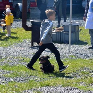 gulasfest25  