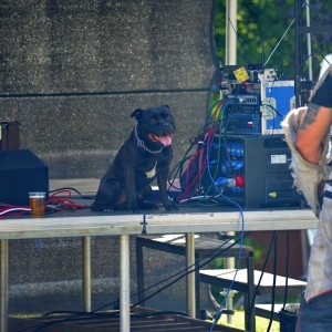 gulasfest25  