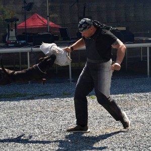 gulasfest25  